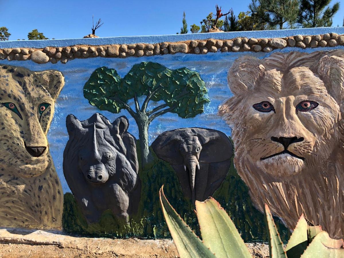 Rainforest Ridge Eco Resort The Crags Dış mekan fotoğraf