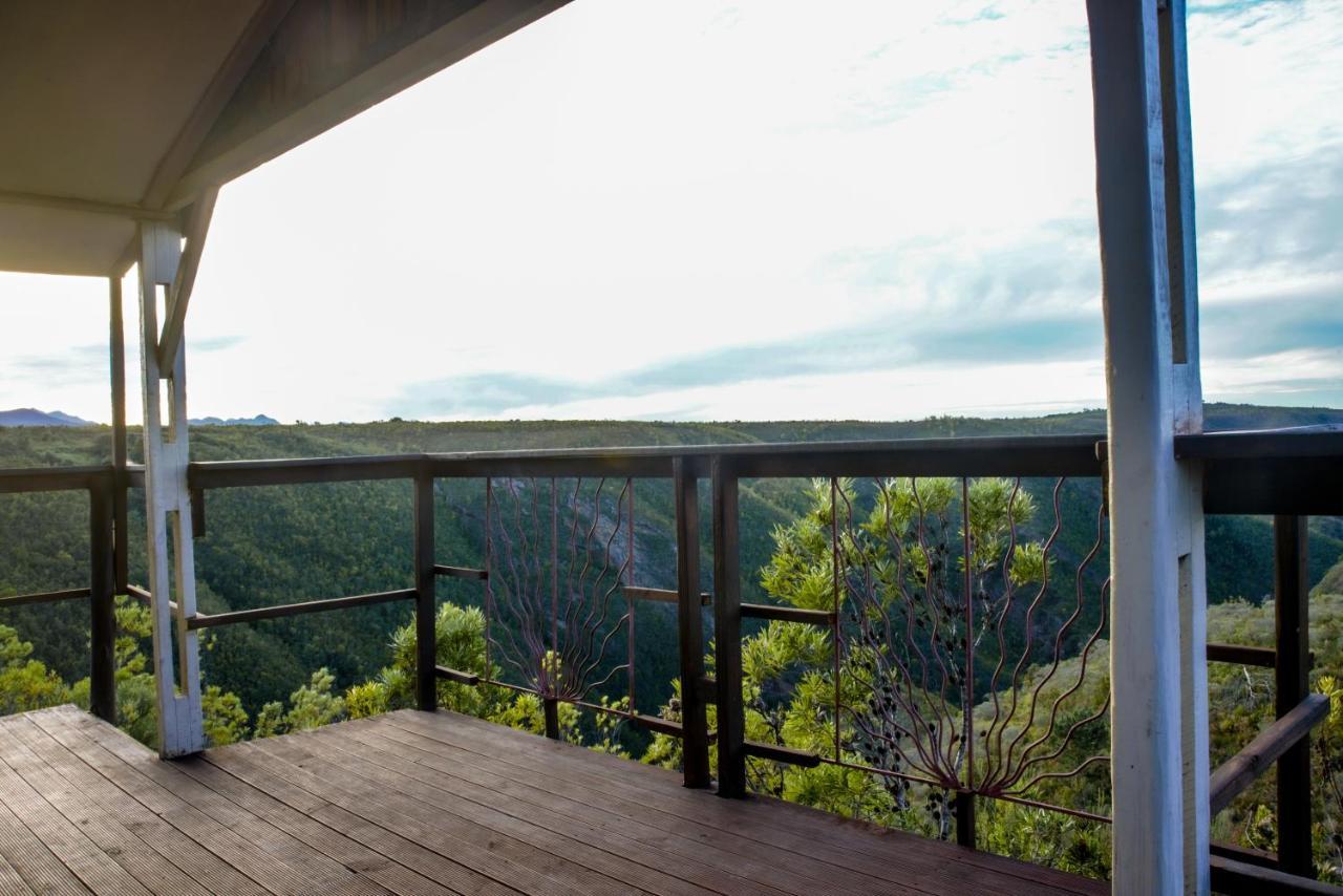 Rainforest Ridge Eco Resort The Crags Dış mekan fotoğraf