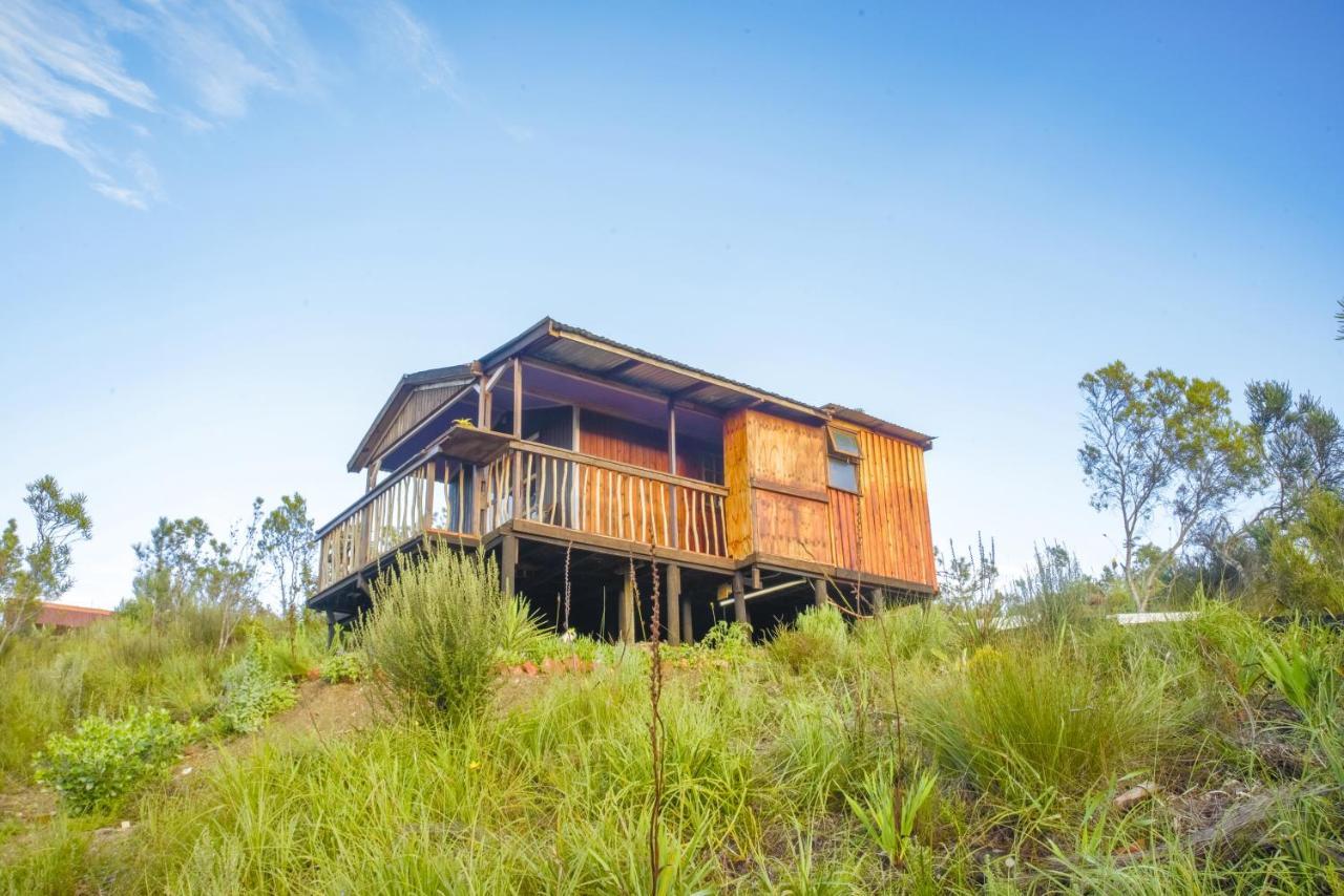 Rainforest Ridge Eco Resort The Crags Dış mekan fotoğraf