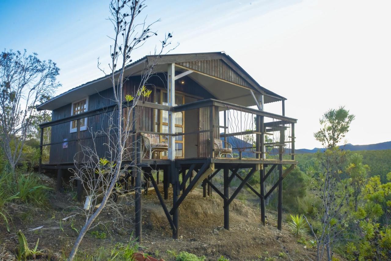 Rainforest Ridge Eco Resort The Crags Dış mekan fotoğraf