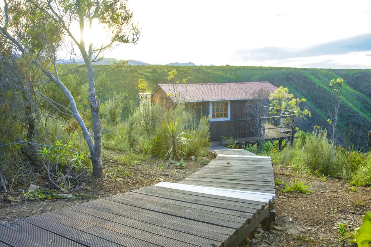 Rainforest Ridge Eco Resort The Crags Dış mekan fotoğraf