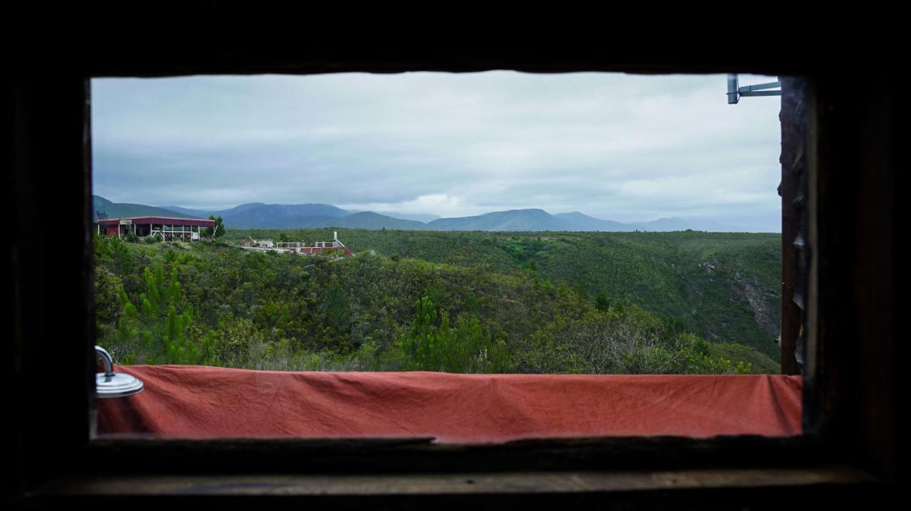 Rainforest Ridge Eco Resort The Crags Dış mekan fotoğraf