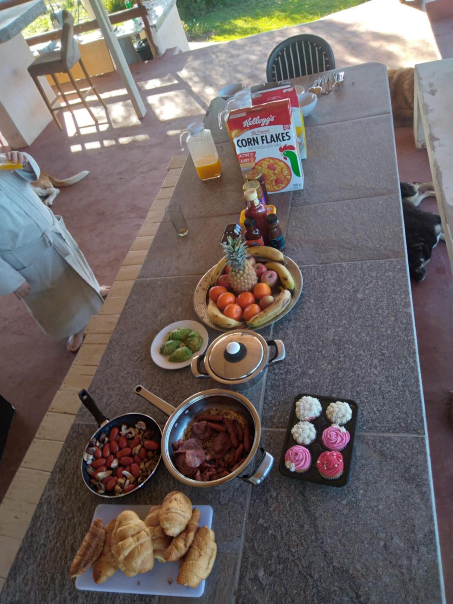 Rainforest Ridge Eco Resort The Crags Dış mekan fotoğraf